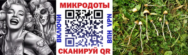 Галлюциногенные грибы GOLDEN TEACHER  цены   кракен   Пролетарск 
